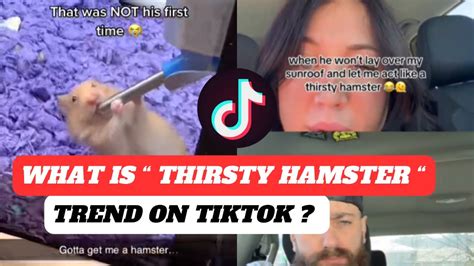 tiktok sunroof hamster|sunroof hamster meaning.